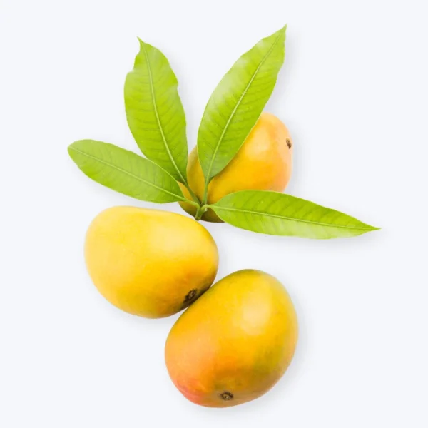 Devgad Alphonso Mango (300-350g)